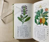 原色少年植物図鑑