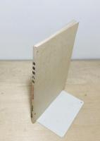 油屋熊八伝 : 別府観光開発の偉人