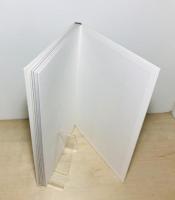 数寄屋師の世界 : 日本建築の技と美 : 山本隆章棟梁の仕事