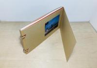 小田川悠写真集『サルビア』