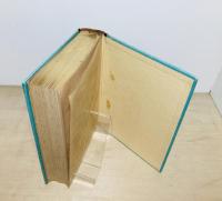 月下の一群 : 訳詩集