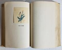 桐の花 : 抒情歌集