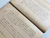支那雑記