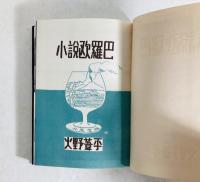 小説欧羅巴