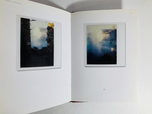 洋書 Instant light 週間売れ筋 Instant Amazon.com: Light: Polaroids Tarkovsky