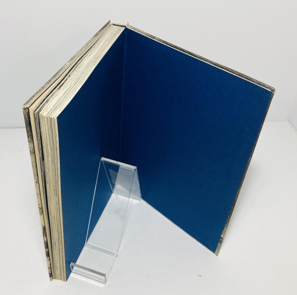 美しい日々 : 片山 健画集(片山健著) / 古本、中古本、古書籍の通販は