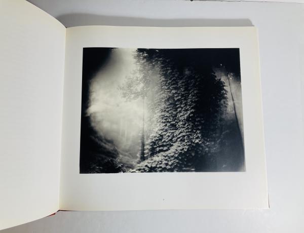 Deep South SALLY MANN(SALLY MANN) / 古本、中古本、古書籍の通販は