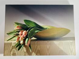 mapplethorpe the complete flowers