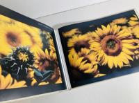 Lartigue : album of a century