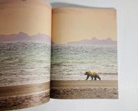 A Magazine #11 - Rodarte