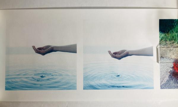 やうやうしろく approaching whiteness(川内倫子) / 古本、中古本、古