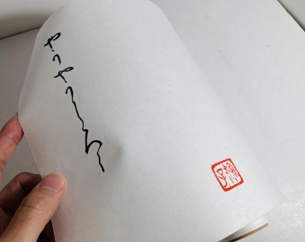 やうやうしろく approaching whiteness(川内倫子) / 古本、中古本、古