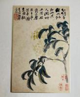 清 石濤 花卉冊
