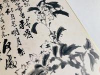 清 石濤 花卉冊