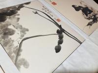 八大山人：花鳥山水冊