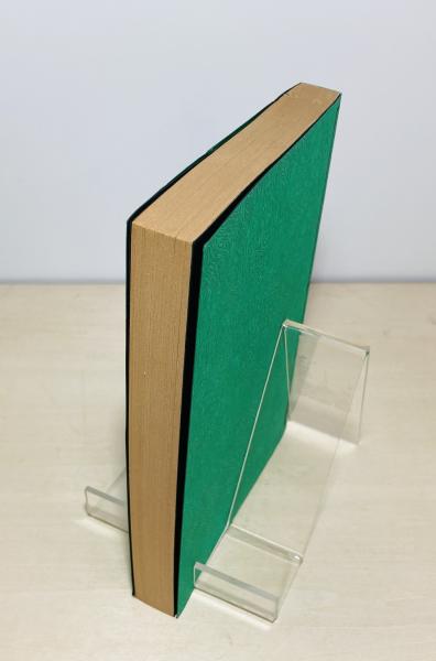 謎の出雲帝国 謎の出雲帝国: 怨念の日本原住民氏・天孫一族に虐殺された出雲