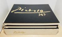 Picasso 347