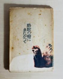 駱駝の瘤にまたがって