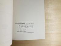 高野山発掘調査報告書
