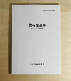 佐寺原遺跡