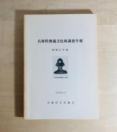 兵庫県埋蔵文化財調査年報
