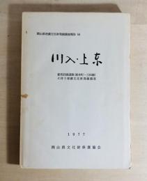 川入・上東　岡山県埋蔵文化財発掘調査報告16