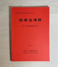 向原古墳群 : 第6号古墳発掘調査報告書