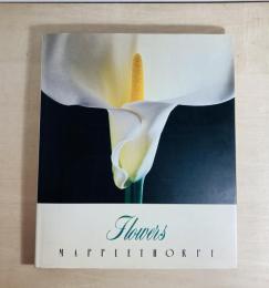 Flowers : メイプルソープの花