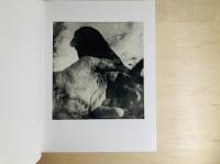Jim Dine The Photographs, So Far