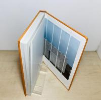 Seung Woo Back: Nobody Reads Pictures