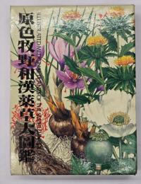 原色牧野和漢薬草大図鑑