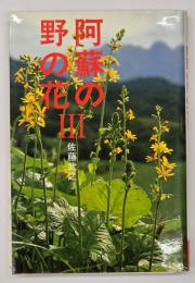 阿蘇の野の花Ⅲ