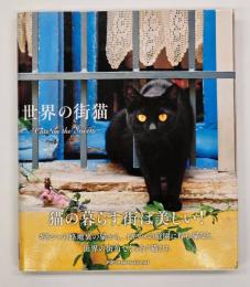 世界の街猫