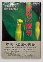 植物の魔術