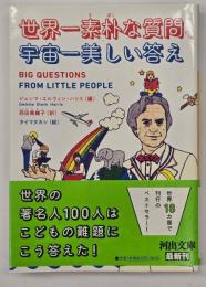世界一素朴な質問、宇宙一美しい答え