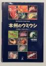 本州のウミウシ : 北海道から奄美大島まで