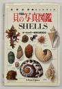 貝の写真図鑑 : オールカラー世界の貝500 完璧版