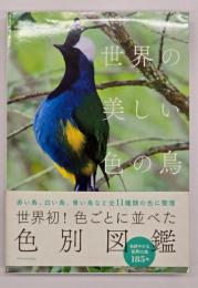 世界の美しい色の鳥