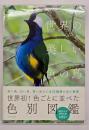 世界の美しい色の鳥