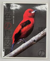 世界の原色の鳥図鑑