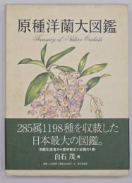 原種洋蘭大図鑑