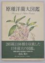 原種洋蘭大図鑑