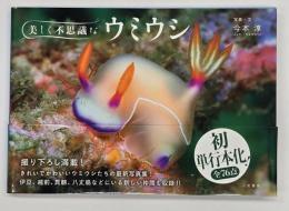 美しく不思議なウミウシ
