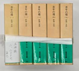 青年の環　5冊揃　岩波文庫　