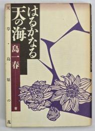 はるかなる天の海 : 天草・島原の乱