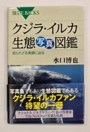 クジラ・イルカ生態写真図鑑 : 知られざる素顔に迫る