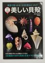 美しい貝殻　学研の図鑑