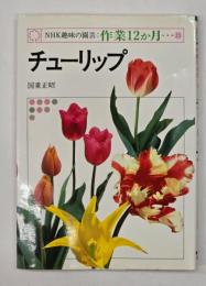 チューリップ