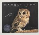 世界の美しいフクロウ