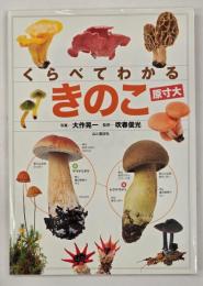 くらべてわかるきのこ　原寸大